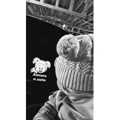 Naljepnica " beba u autu"