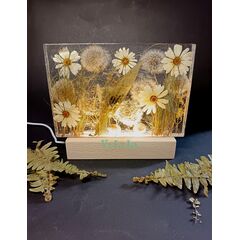 Ambijentalna lampica šumska