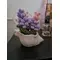Dekoracija Lavanda, 3 image