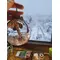 SnowGlobe, 3 image
