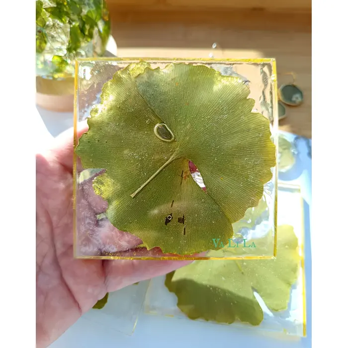 Ukrasni podmetači sa ginkom, 4 image