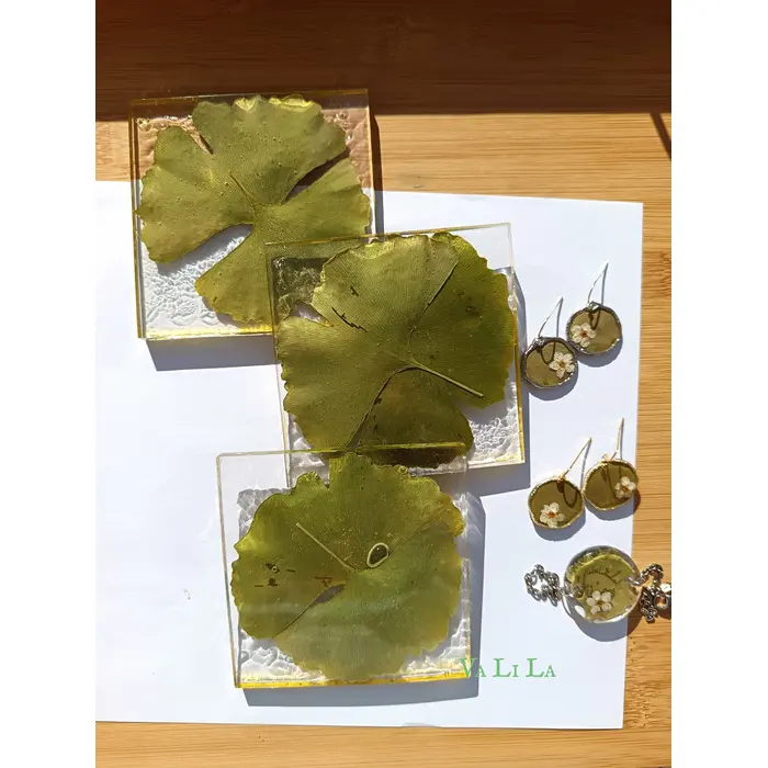 Ukrasni podmetači sa ginkom