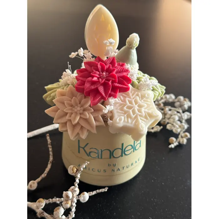 (S)nježni božićni aranžman u ručno izrađenoj posudi