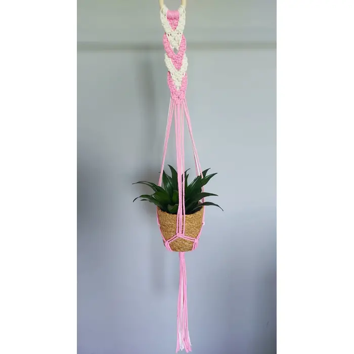 Visilica za cvijeće, 4 image