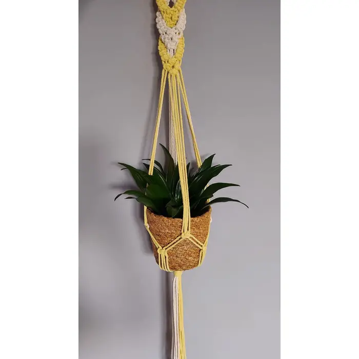 Visilica za cvijeće, 6 image